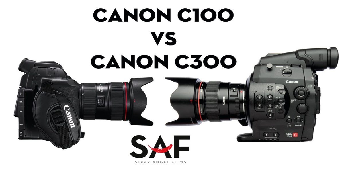 Canon C100 vs C300 Camera Comparison Screen Capture