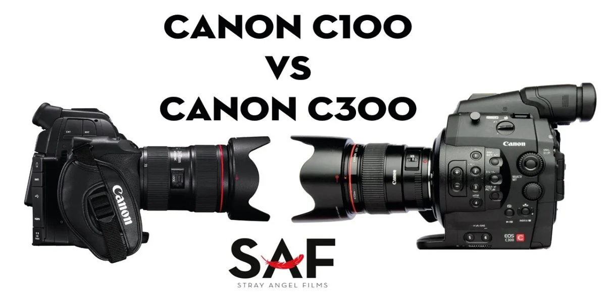 Canon C300 vs C100 Differences, Specs, Overview Stray Angel Films