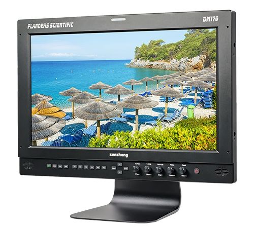 Rent Flanders Scientific 17" DM170 Production Monitor