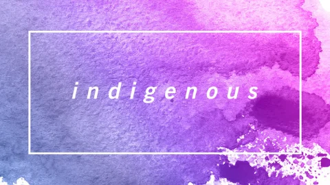 indigenous-media-production-company-logo